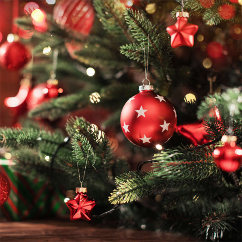 Festive Menu
